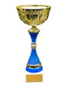 Gold trophy cup on pedestal with blank space Royalty Free Stock Photo