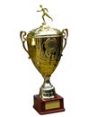 Gold trophy cup on wood pedestal Royalty Free Stock Photo