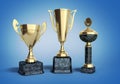 Gold trophys cup 3d illustration on blue gradient Royalty Free Stock Photo