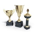 Gold trophys cup 3d illustration on white Royalty Free Stock Photo