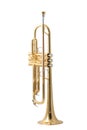 Gold trumpet Royalty Free Stock Photo