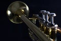 Gold trumpet on a black background Royalty Free Stock Photo