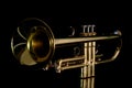 Gold trumpet in night Royalty Free Stock Photo