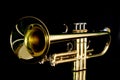 Gold trumpet in night