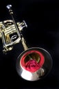 Gold Trumpet with a Red Rose Royalty Free Stock Photo