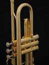 Gold Trumpet Standing Royalty Free Stock Photo