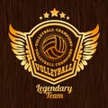 Gold volleyball emblem on the wooden texture