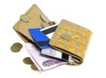 Gold wallet pocket. Royalty Free Stock Photo