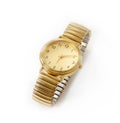 Gold watch