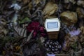 The Gold watch Black stainless steel strap On a dark wood background Royalty Free Stock Photo