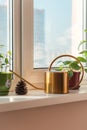 Gold watering can metal aluminum brass watering vessel, potted flowers on the windowsill