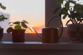 Gold watering can metal aluminum brass watering vessel, potted flowers on the windowsill