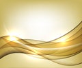 Gold wavy vector Template Abstract background with transparent curves lines. Royalty Free Stock Photo