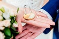 Gold wedding lock in the form of heart in the hands Royalty Free Stock Photo