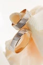 Two gold wedding rings on a sea shell Royalty Free Stock Photo