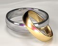 Gold and silver wedding Rings