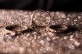 Gold wedding rings on an abstract background with copy space Royalty Free Stock Photo