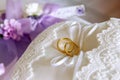 Gold wedding rings for backgrounds Royalty Free Stock Photo