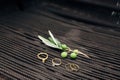 Gold wedding rings of the bride and groom, engagement ring and foil ring with olive tree sprig with fruits on blurred