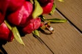 gold wedding rings close-up on a background of a bouquet dark red burgundy peony with green leaves Royalty Free Stock Photo