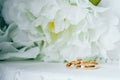 Gold wedding rings. Decorative white flowers Royalty Free Stock Photo