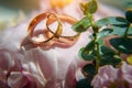 Gold wedding rings and delicate pink flowers, selective focus, close-up. Wedding photo with copy space Royalty Free Stock Photo