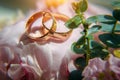 Gold wedding rings and delicate pink flowers, selective focus, close-up. Wedding photo with copy space Royalty Free Stock Photo