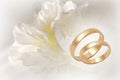 Gold wedding rings on flowery festive background Royalty Free Stock Photo