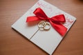 Gold wedding rings Royalty Free Stock Photo