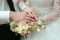 Gold wedding rings Royalty Free Stock Photo