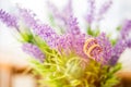 Gold wedding rings on lavender flowers nature blur background.