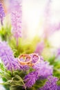 Gold wedding rings on lavender flowers nature blur background.