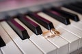 Gold wedding rings lie on the piano keys Royalty Free Stock Photo