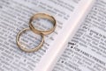 Gold wedding rings on a page showing love Royalty Free Stock Photo