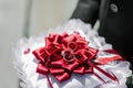 Gold wedding rings on the pillow with bordeaux colour ribbon in Royalty Free Stock Photo