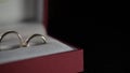 Gold Wedding Rings in a red box macro closeup shoot diamon Jewellery