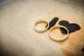 Gold wedding rings. Relationship, commitment, love Royalty Free Stock Photo