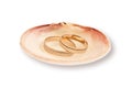 Gold wedding rings in a sea shell Royalty Free Stock Photo