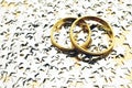Gold wedding rings with silver stars Royalty Free Stock Photo