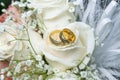 Gold Wedding Rings Symbol Of Love And Family Royalty Free Stock Photo