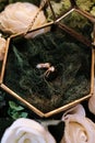 A Gold Wedding Rings on Terarium Box