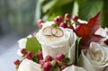 2 gold wedding rings on a white rose in a bouquet Royalty Free Stock Photo