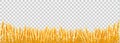 Gold wheat field on transparent background. Royalty Free Stock Photo