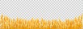 Gold wheat field on transparent background Royalty Free Stock Photo