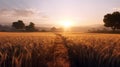 Gold Wheat flied panorama with tree at sunset, rural countryside. AI Generative Royalty Free Stock Photo