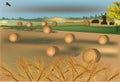 Gold wheat harvest illustration Royalty Free Stock Photo