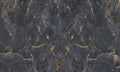 Gold and white Patterned natural of dark gray marble texture