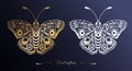 Gold and white silhouette of a butterfly in line art style on a dark background. Beautiful and delicate wing pattern Royalty Free Stock Photo