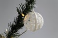 Gold, White and Silver Christmas Ornaments in Christmas Tree Branch Royalty Free Stock Photo