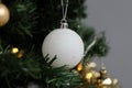 Gold, White and Silver Christmas Ornaments in Christmas Tree Branch Royalty Free Stock Photo